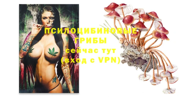 хмурый Арсеньев