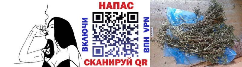Бошки Шишки SATIVA & INDICA  купить наркотики сайты  гидра ТОР  Спас-Деменск 